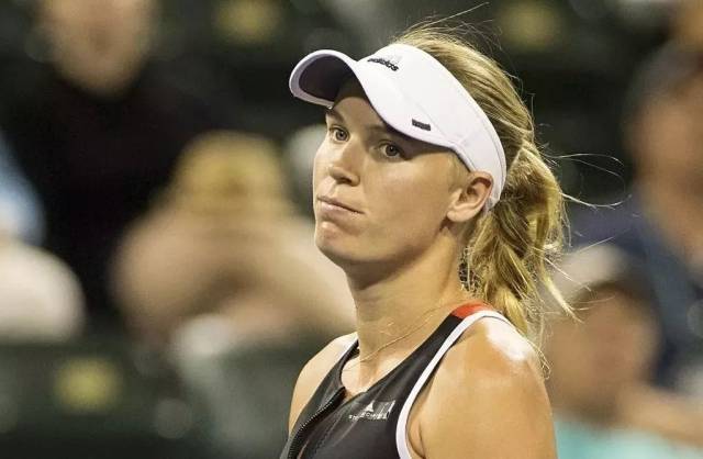 也在為新一 也在為新一