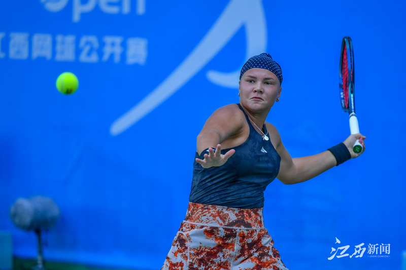 流勇退由他 流勇退由他