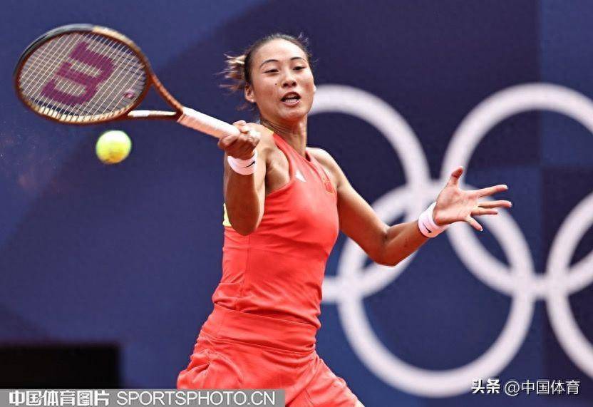 组织复杂度 组织复杂度